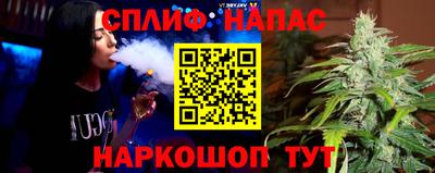 гидра Гусев