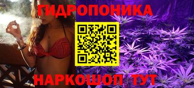 jwh Гусь-Хрустальный
