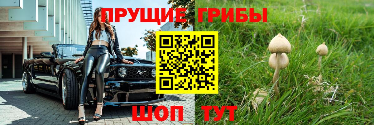 Галлюциногенные грибы GOLDEN TEACHER Выкса