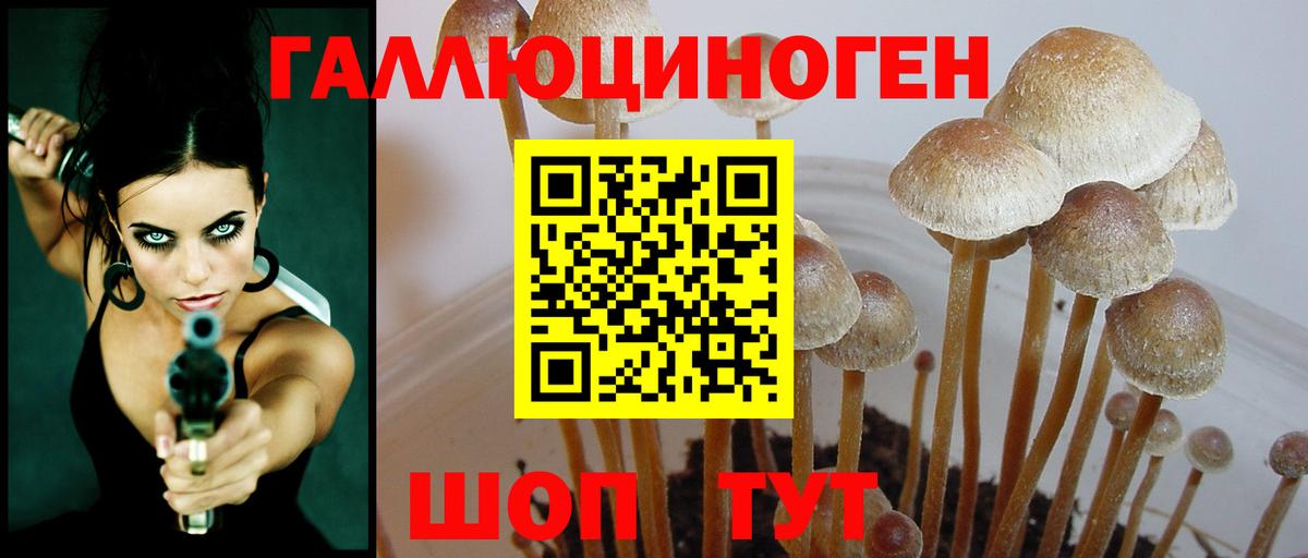 Галлюциногенные грибы мухоморы  Галлюциногенные грибы Magic Shrooms  Вход с VPN  Выкса 